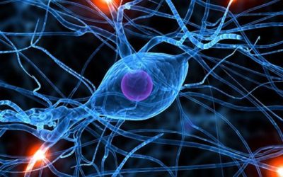 As múltiplas inteligências