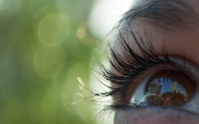 Percepção, atitudes e comportamentos na negociação