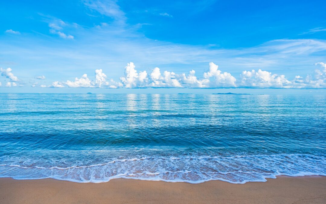 O que é a estratégia do oceano azul?